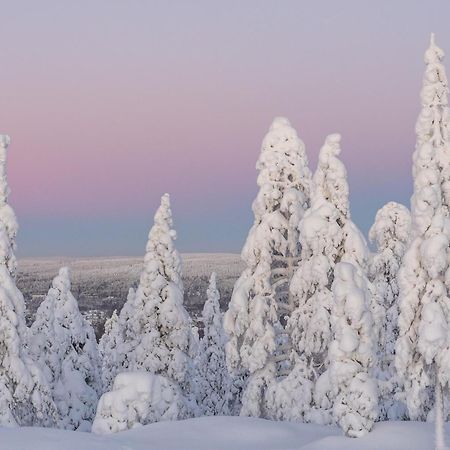 Northern Bliss Hideaway Рованиеми Экстерьер фото